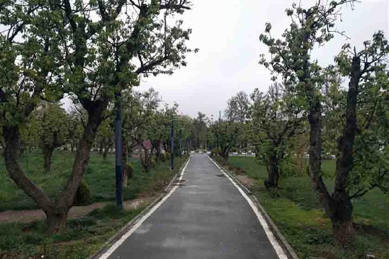 پارک خانواده کرج